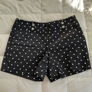 White House Black Market Black Polka Dot High Waist Shorts